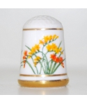 Freesia refracta