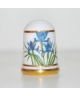 Iris 'Hollands'