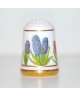 Common hyacinth