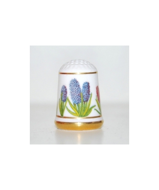 Common hyacinth