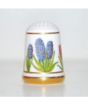 Common hyacinth