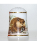 North American beaver
