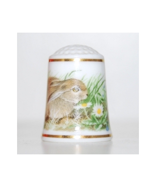 European hare