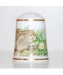 European hare