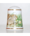 European hare
