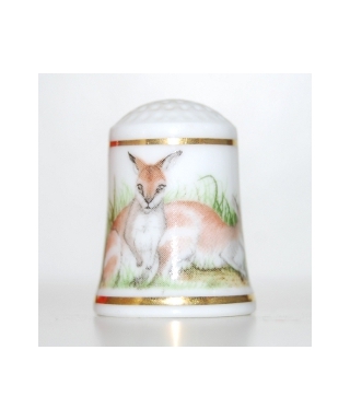 Sandy wallaby