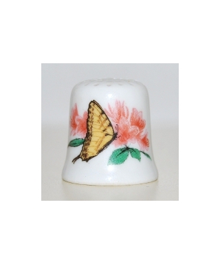 Motyl
