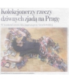 Kolekcjonerzy rzeczy dziwnych