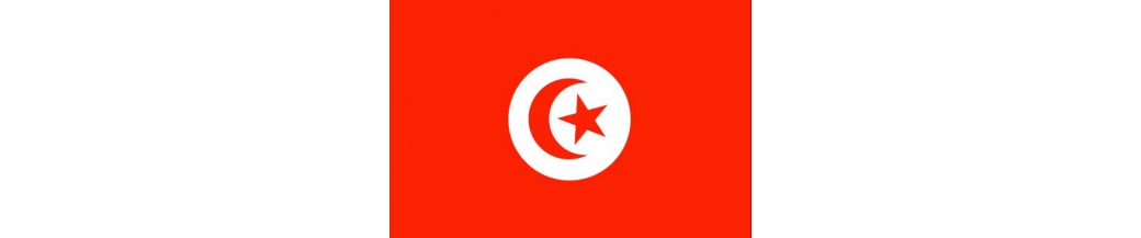 Tunezja